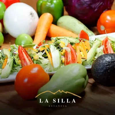 Restaurante La Silla Juárez Puebla - foto 1