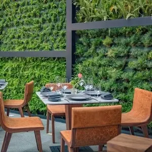 Restaurante Alfredo Di Roma Polanco 6