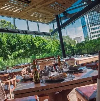 Restaurante Chapulín Polanco - foto 4