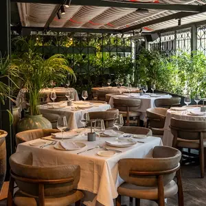 Restaurante Harry's Polanco 7