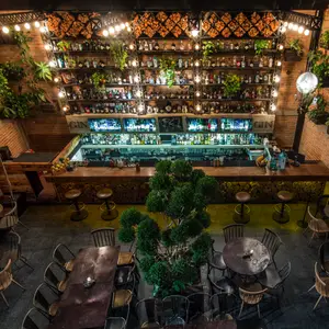 Gin Gin Cibeles 5